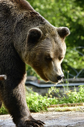 Similar image 21651656