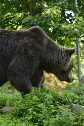 Similar image 21651658