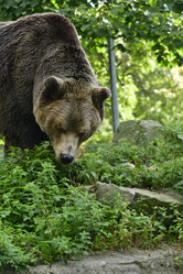 Similar image 21651659