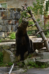 Similar image 21651660