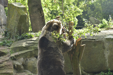 Similar image 21651661