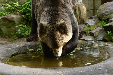 Similar image 21651663