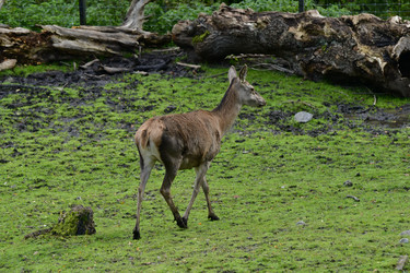 Similar image 21651665