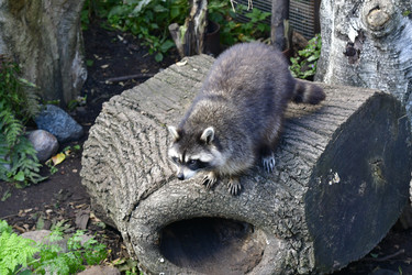 Similar image 21651666