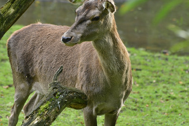 Similar image 21651667