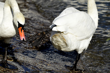 Similar image 21651669