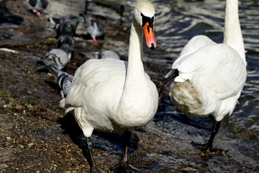 Similar image 21651671