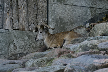 Similar image 21651672