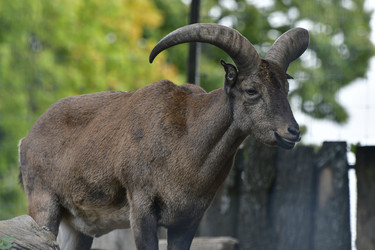 Similar image 21651849