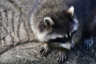 Similar image 21651851