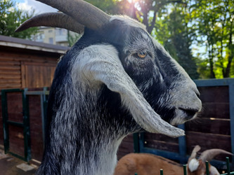 Similar image 21651852