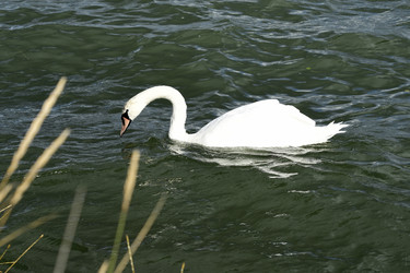 Similar image 21651853