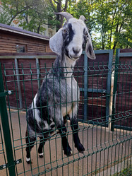 Similar image 21651854