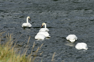 Similar image 21651856