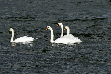 Similar image 21651858