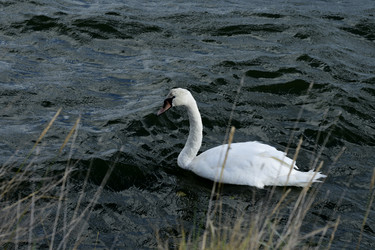 Similar image 21651859