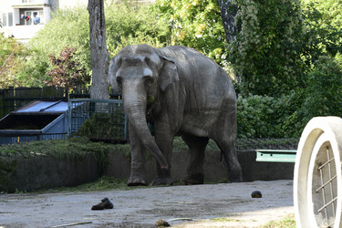 Similar image 21651861