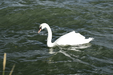 Similar image 21651862