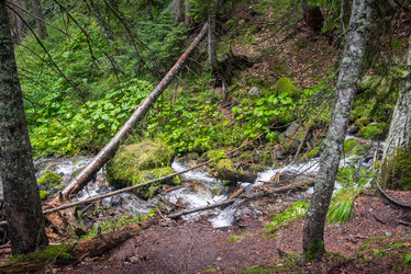 Similar image 21648836