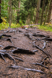 Similar image 21648837