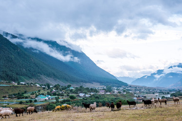 Similar image 21648842