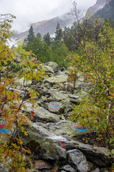 Similar image 21648843