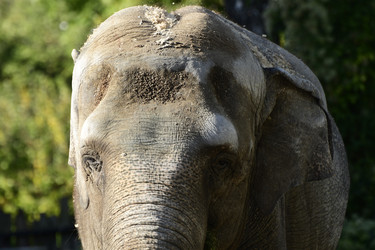 Similar image 21651673