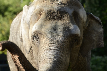 Similar image 21651674