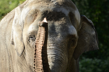 Similar image 21651675