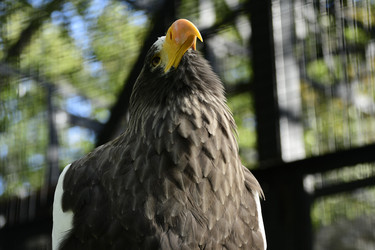 Similar image 21651676