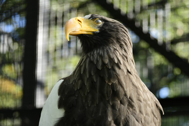 Similar image 21651677