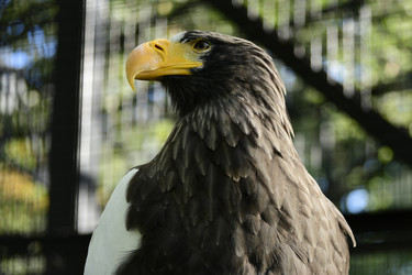 Similar image 21651678