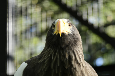 Similar image 21651679