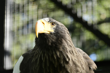 Similar image 21651680