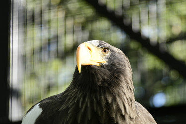 Similar image 21651681