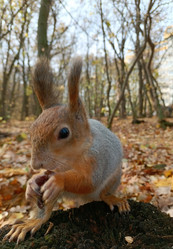 Similar image 21652532