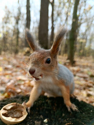 Similar image 21648844