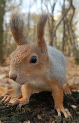 Similar image 21648845