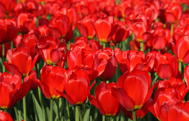 Similar image 21651127