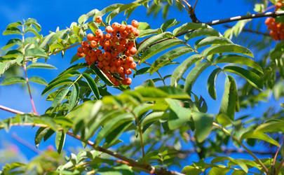 Similar image 21651130