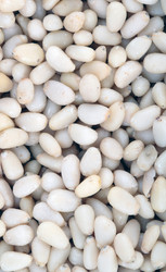 Similar image 21651137