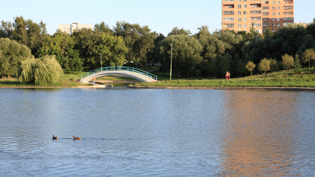 Similar image 21651155