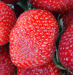 Similar image 21651158