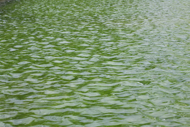 Similar image 21651165