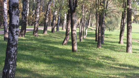 Similar image 21651169