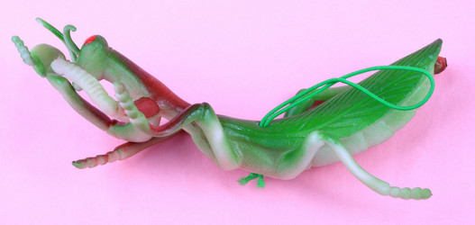 Similar image 21651170