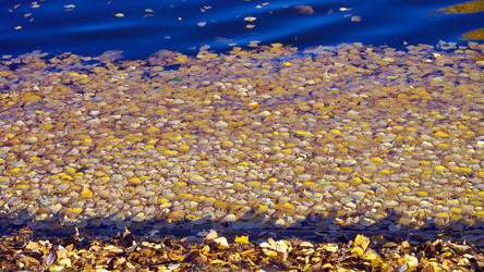 Similar image 21650703