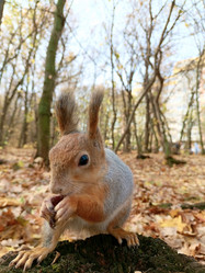 Similar image 21652533