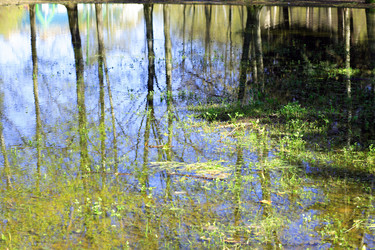 Similar image 21651182