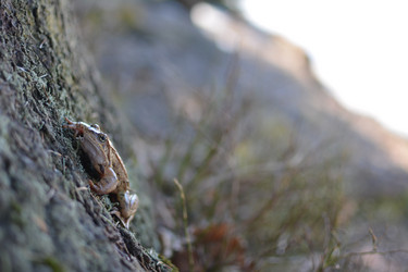 Similar image 21649327